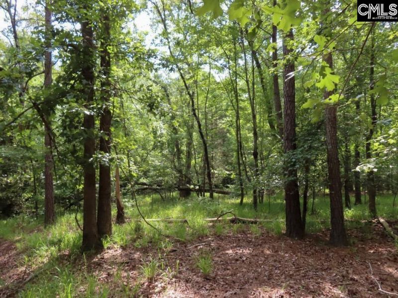 0 Landis Road Photo 14