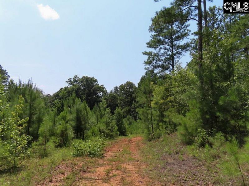 0 Landis Road Photo 15