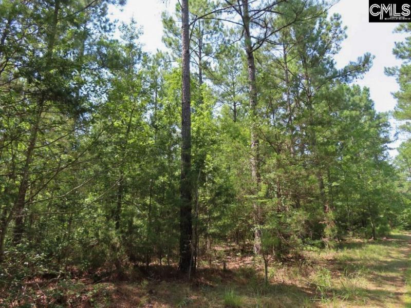 0 Landis Road Photo 17