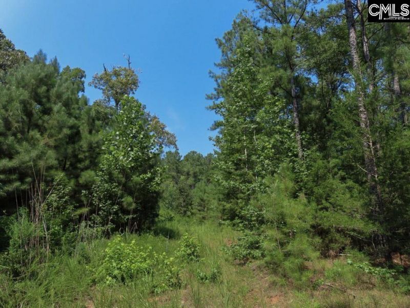 0 Landis Road Photo 18
