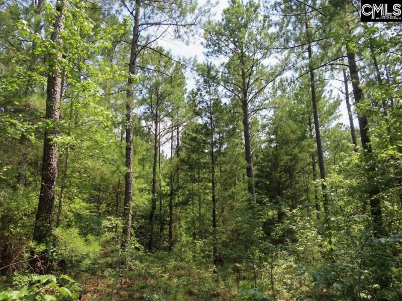 0 Landis Road Photo 19