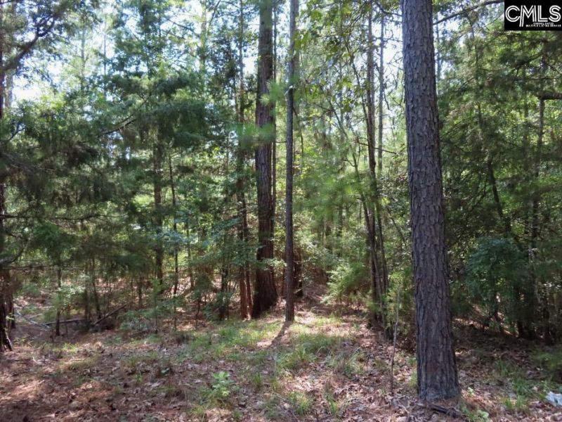 0 Landis Road Photo 20