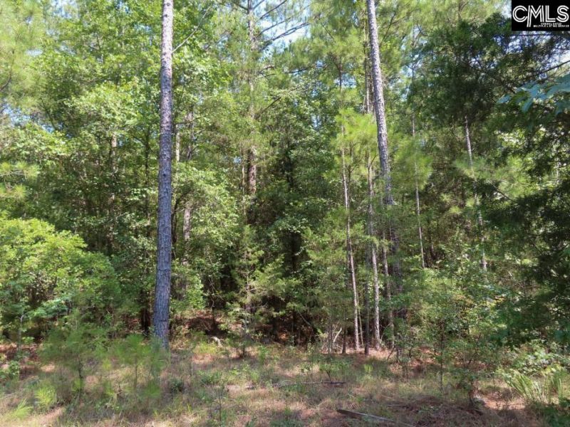0 Landis Road Photo 21
