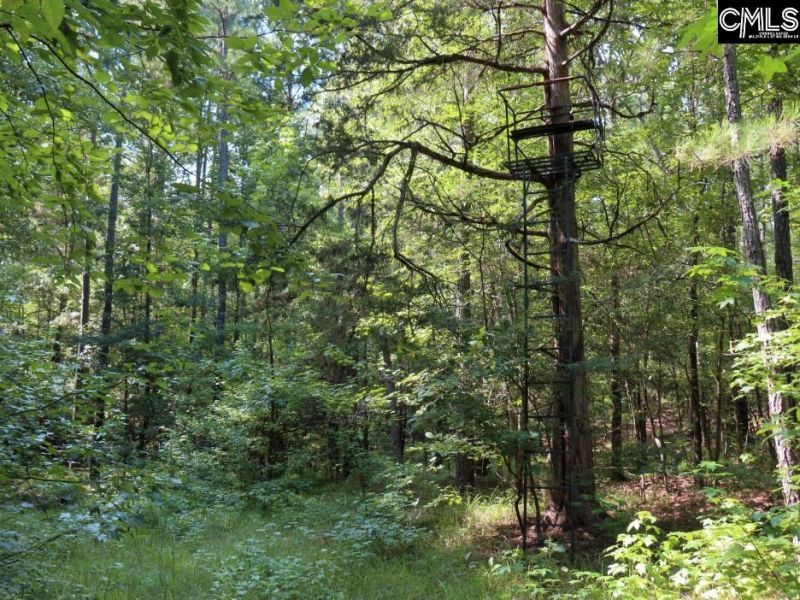 0 Landis Road Photo 22
