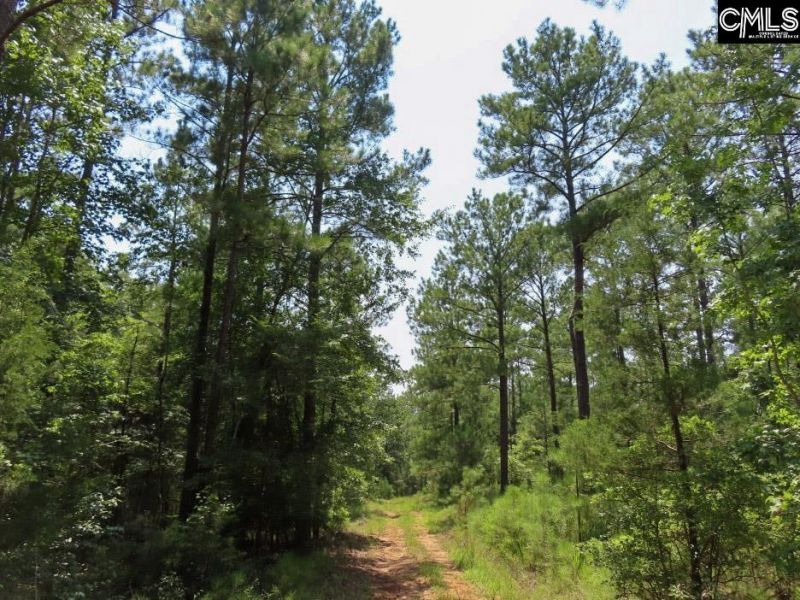 0 Landis Road Photo 23