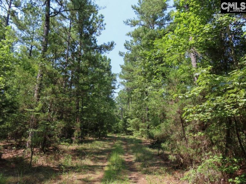 0 Landis Road Photo 25