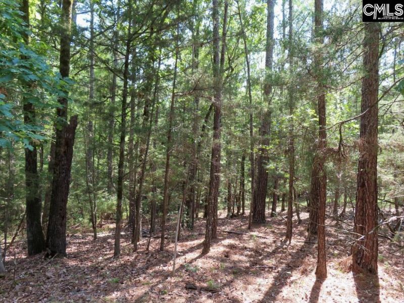 0 Landis Road Photo 26