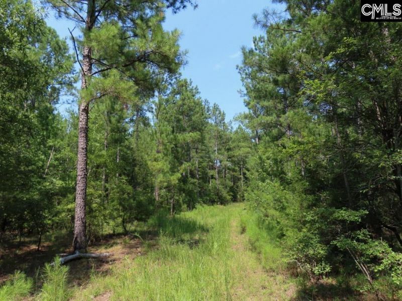 0 Landis Road Photo 27