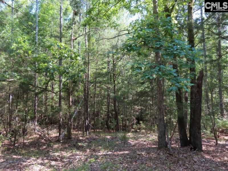 0 Landis Road Photo 28