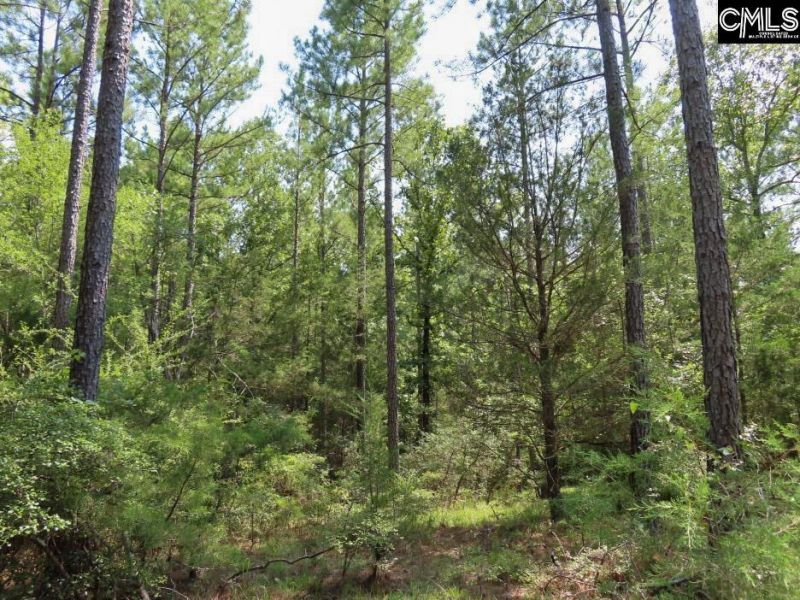 0 Landis Road Photo 29