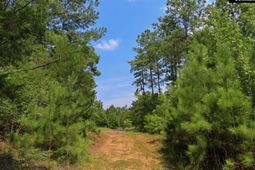 0 Landis Road photo 4