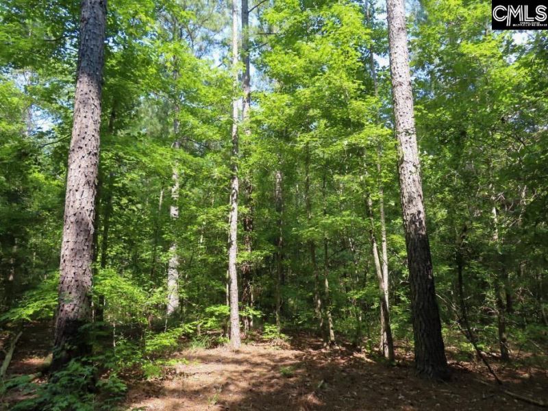 0 Landis Road Photo 31