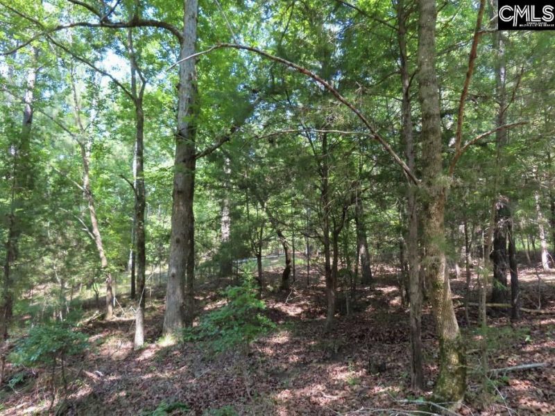 0 Landis Road Photo 32