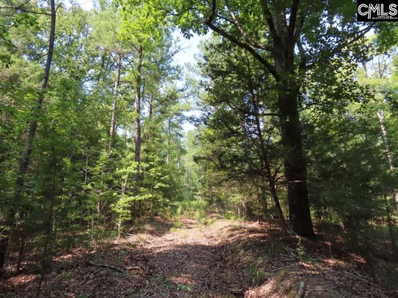 0 Landis Road Photo 33
