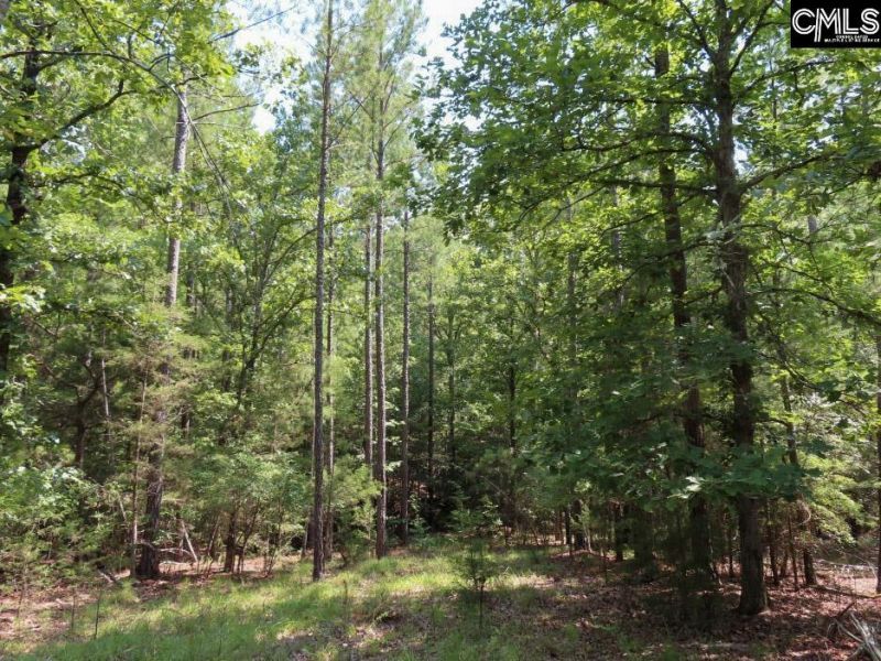 0 Landis Road Photo 34