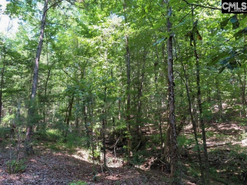 0 Landis Road Photo 35