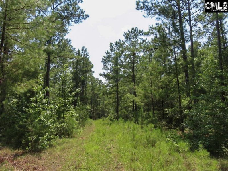 0 Landis Road Photo 37