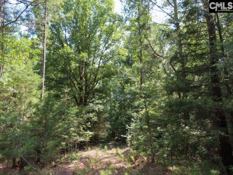 0 Landis Road Photo 39