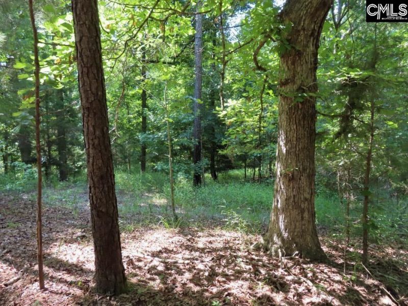 0 Landis Road Photo 4