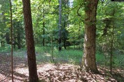 0 Landis Road photo 4
