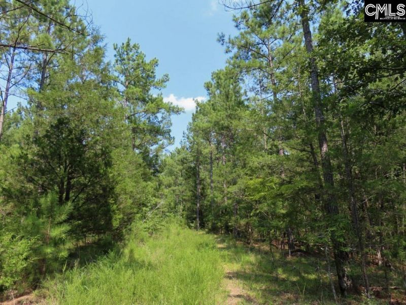 0 Landis Road Photo 40