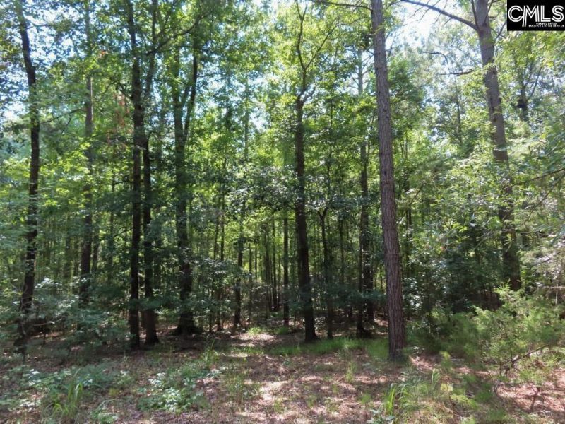 0 Landis Road Photo 43