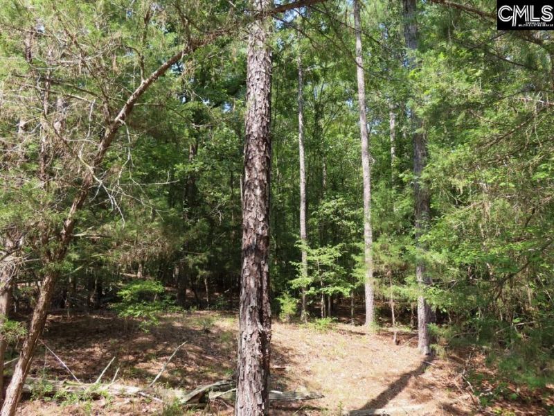 0 Landis Road Photo 44