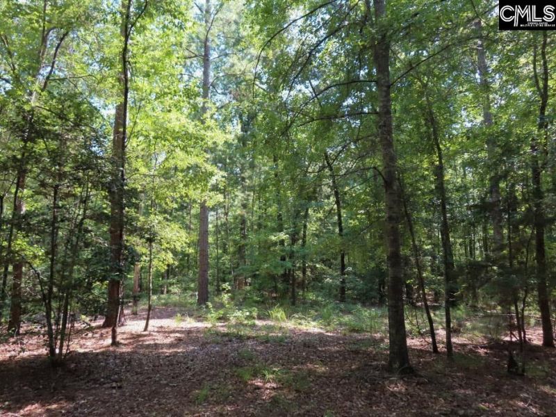 0 Landis Road Photo 45