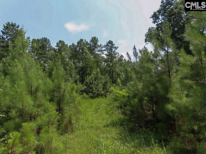 0 Landis Road Photo 46