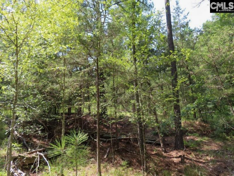 0 Landis Road Photo 47