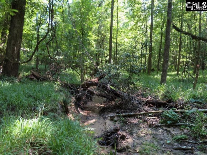 0 Landis Road Photo 48