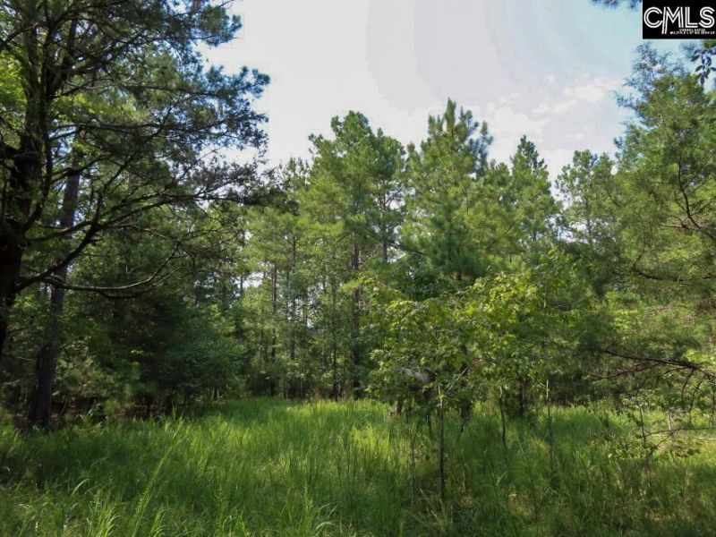 0 Landis Road Photo 49