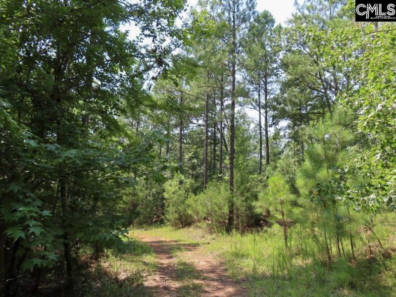0 Landis Road Photo 5