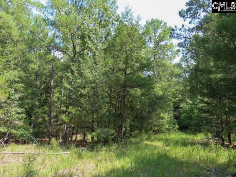 0 Landis Road Photo 50