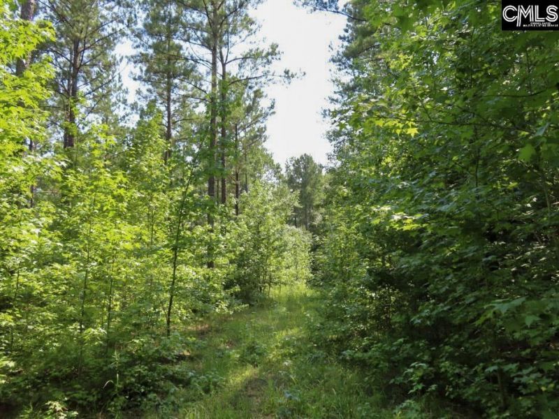 0 Landis Road Photo 51