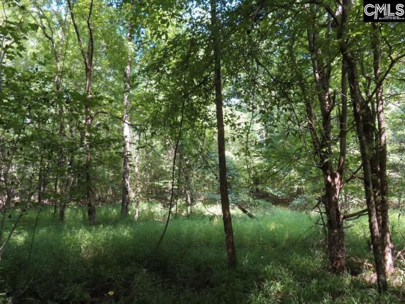 0 Landis Road Photo 52