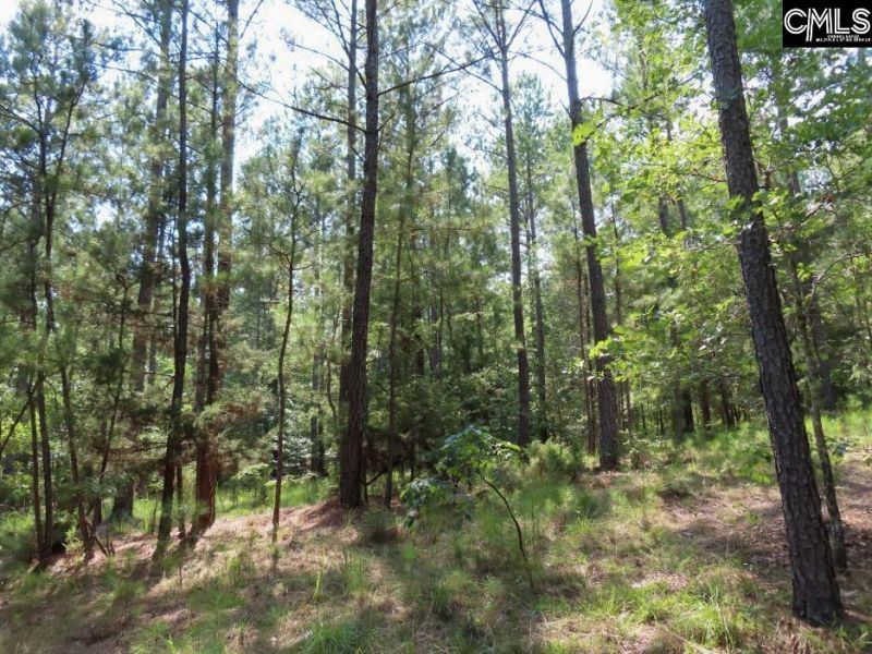 0 Landis Road Photo 53
