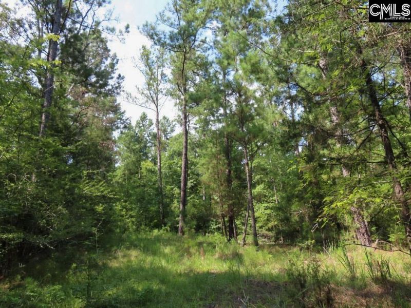 0 Landis Road Photo 55