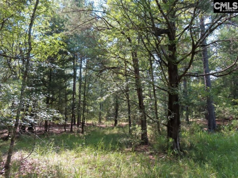 0 Landis Road Photo 57