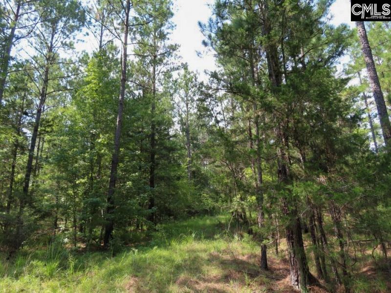 0 Landis Road Photo 59