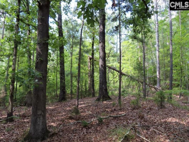 0 Landis Road Photo 6