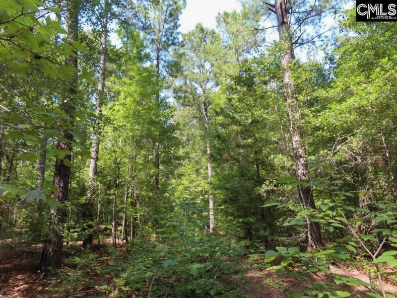 0 Landis Road Photo 60