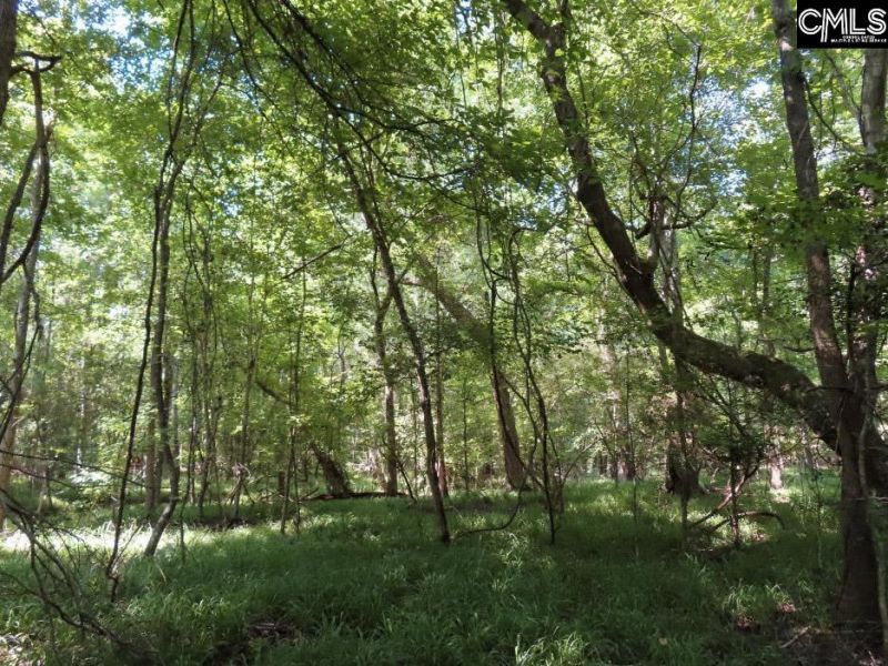 0 Landis Road Photo 62