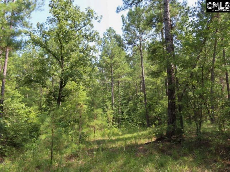 0 Landis Road Photo 63