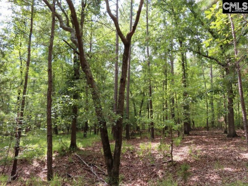 0 Landis Road Photo 65
