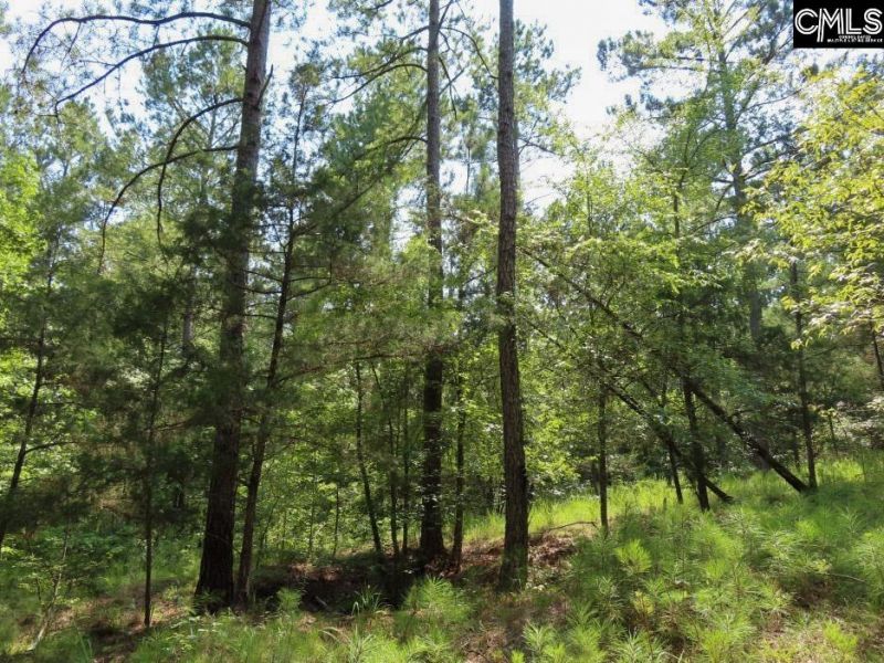 0 Landis Road Photo 66