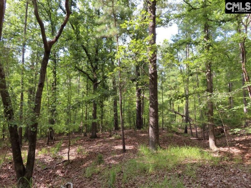 0 Landis Road Photo 68