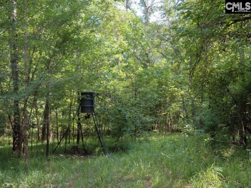 0 Landis Road Photo 70