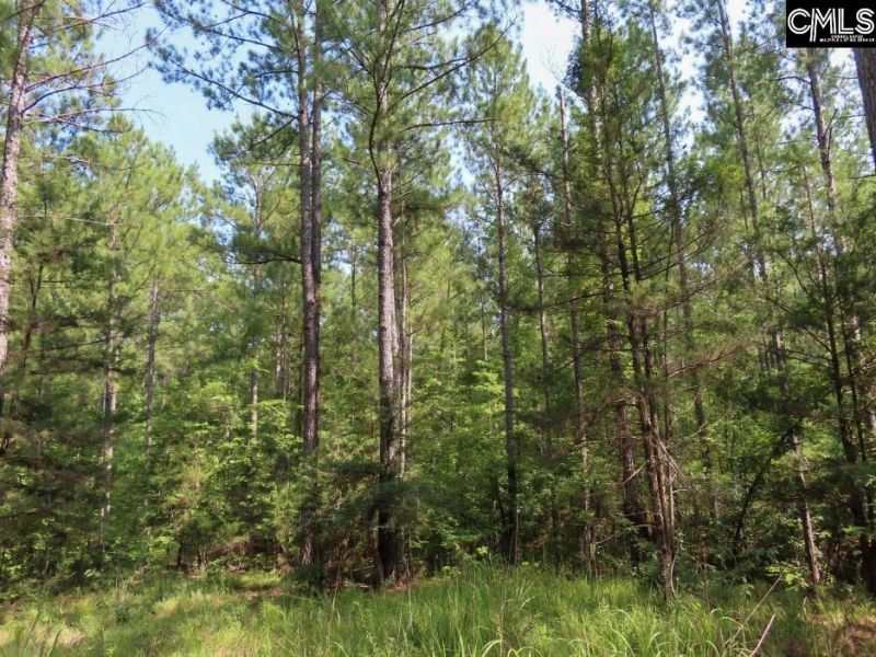 0 Landis Road Photo 71