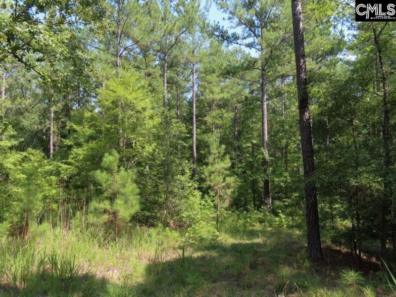 0 Landis Road Photo 74